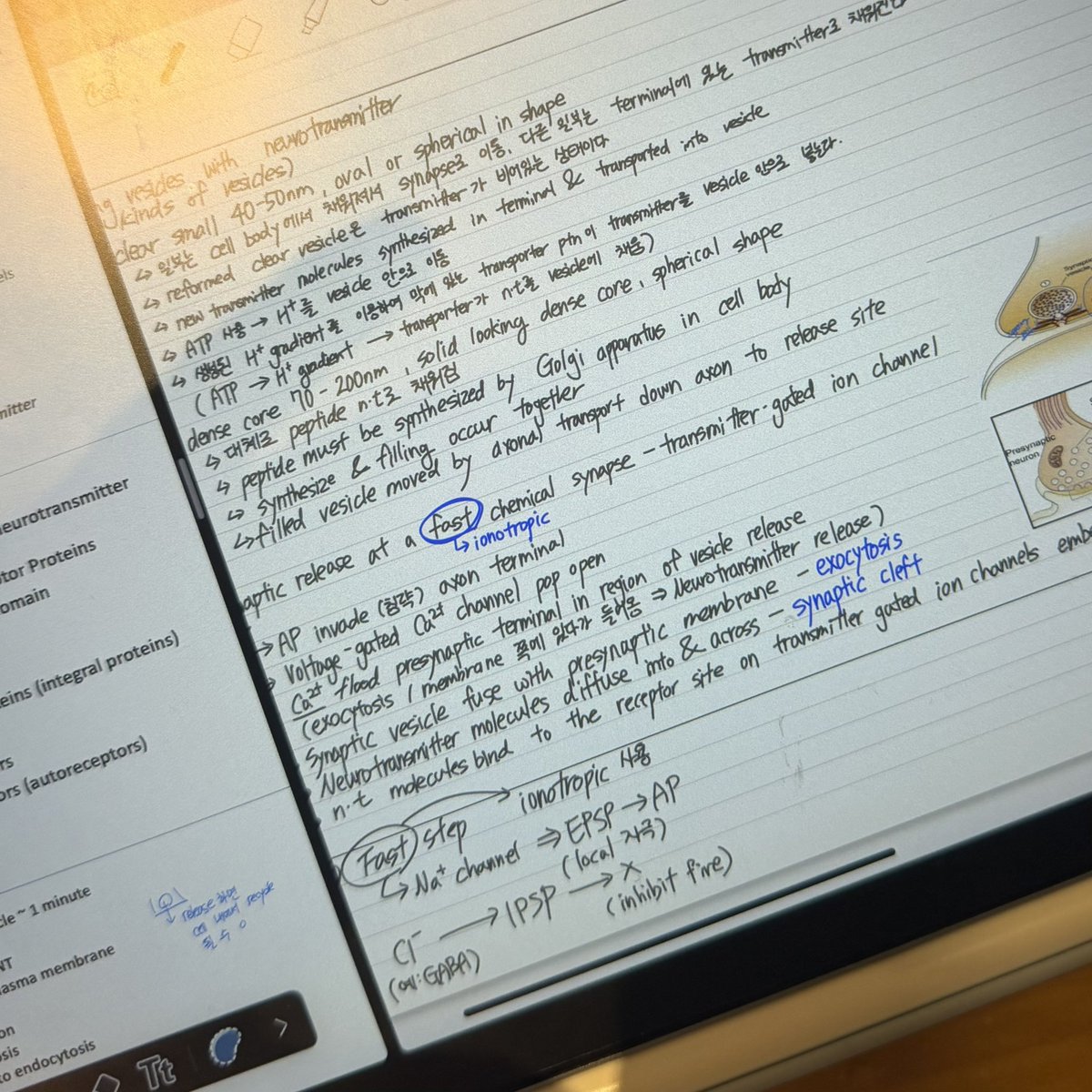 traum_13's tweet image. #studytwt 
아직 이 챕터를 못 끝냈다니..ㅠ