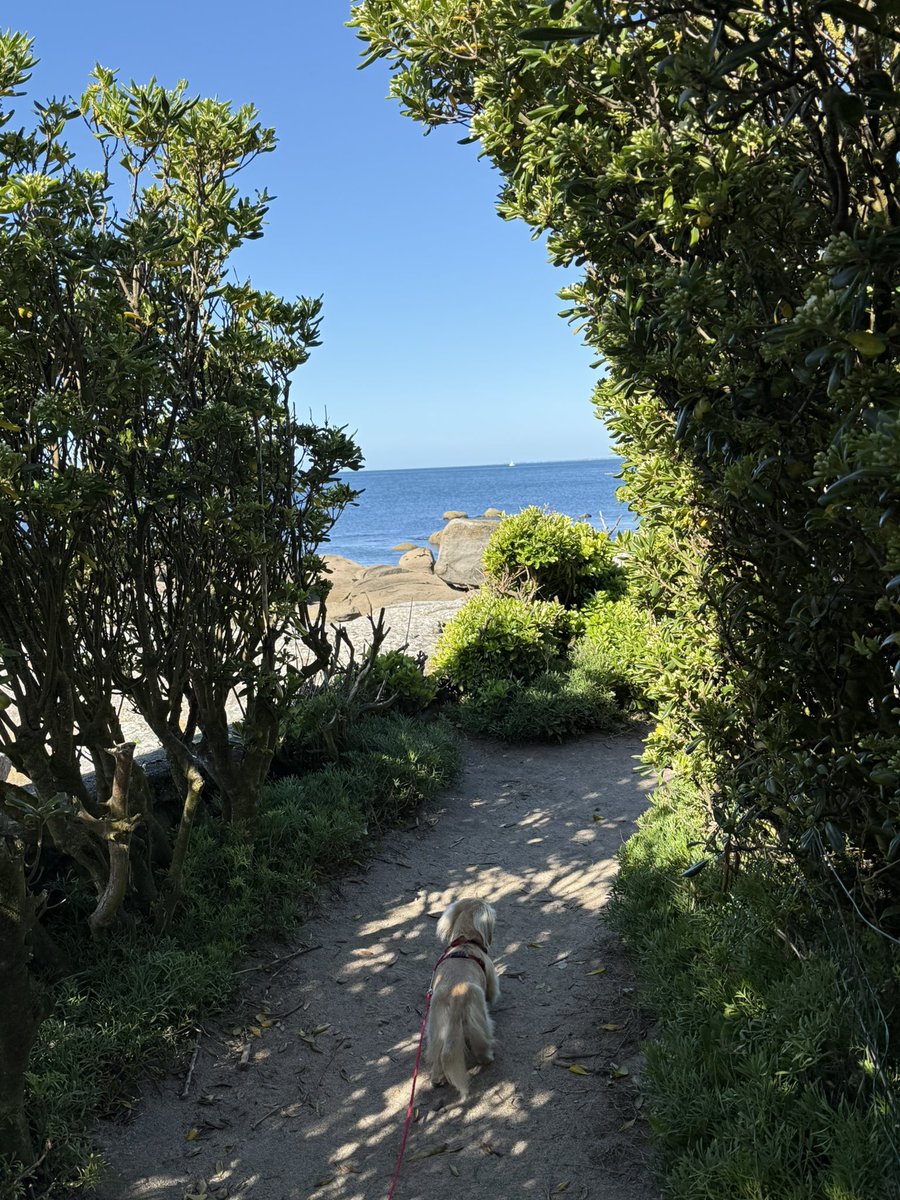 Jette (Ministerin für Fressangelegenheiten) tweet media