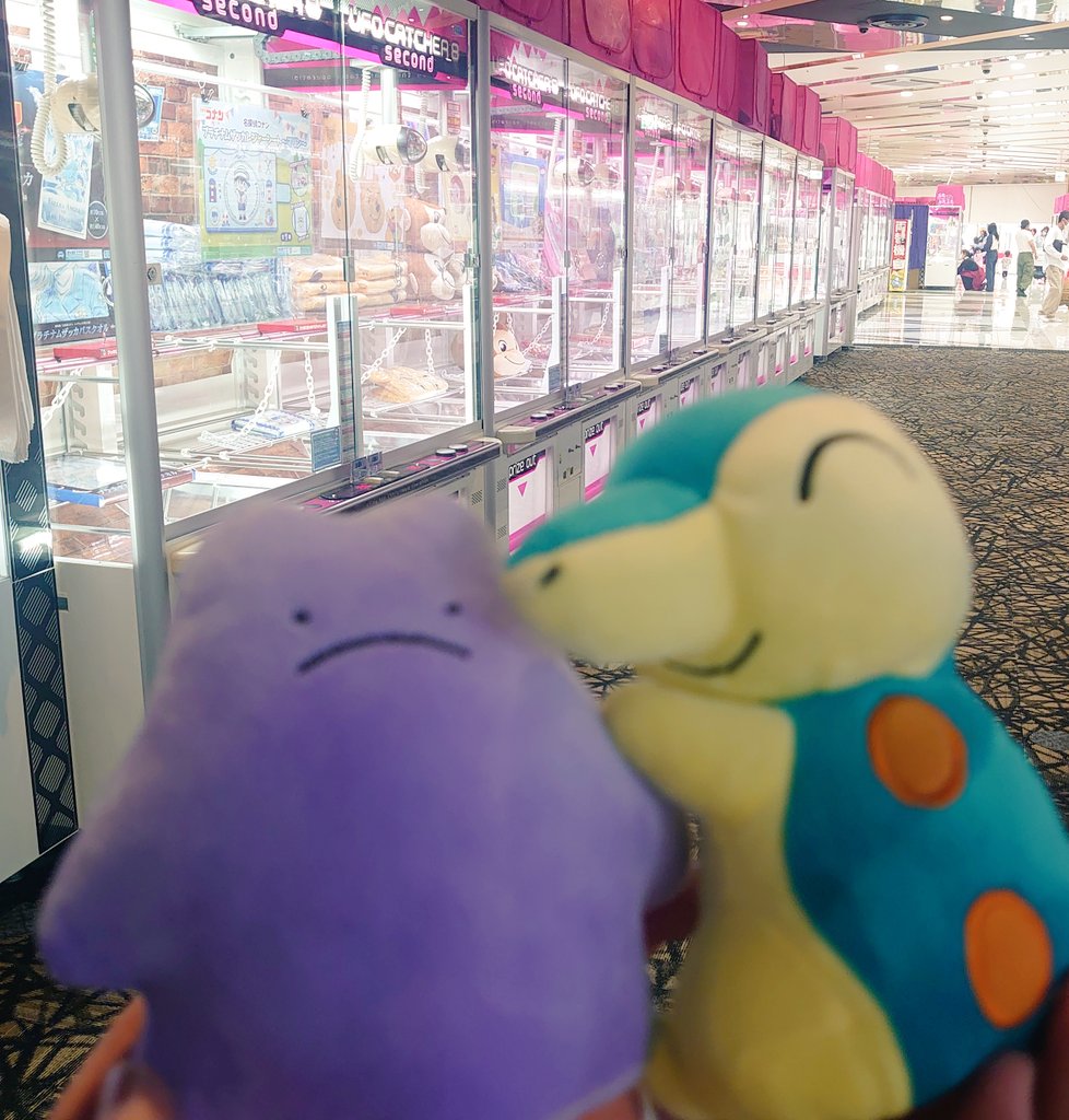 ちょこ ✦.* tweet media