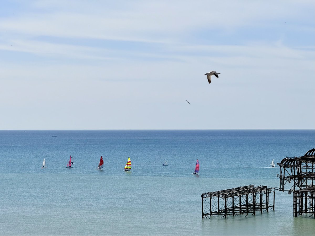 Steveontour2's tweet image. A fantastic day to go sailing. #Brighton #UsualSeagull.