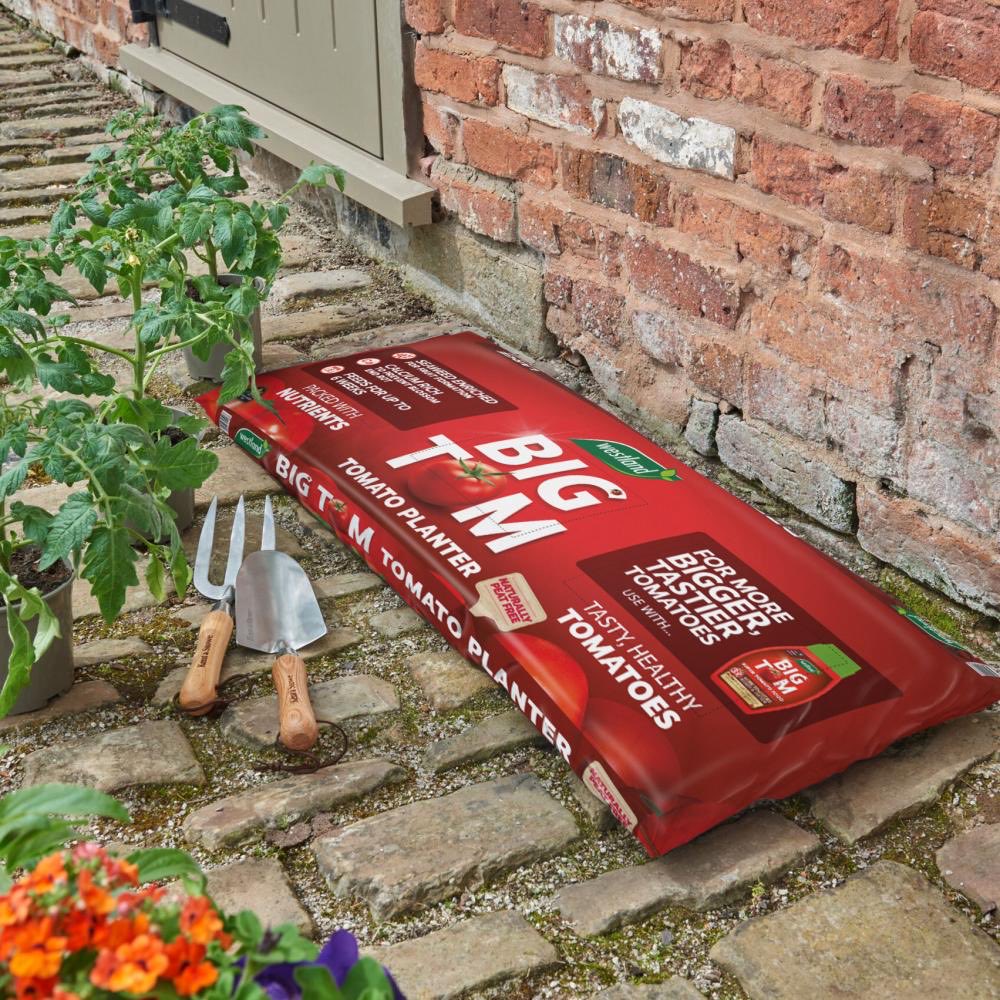 allotmentonline's tweet image. Enter for the chance to WIN a Tomato Growing Bundle from @marshallsgarden in our Spring Giveaway!

Please follow, RT, tag/share and enter on the link:

allotmentonline.co.uk/win-a-tomato-g…

#win #competition #giveaway