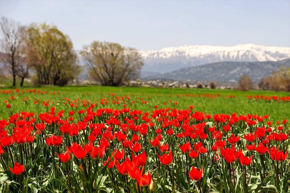 📍 Beyşehir'de kış ve bahar yan yana.