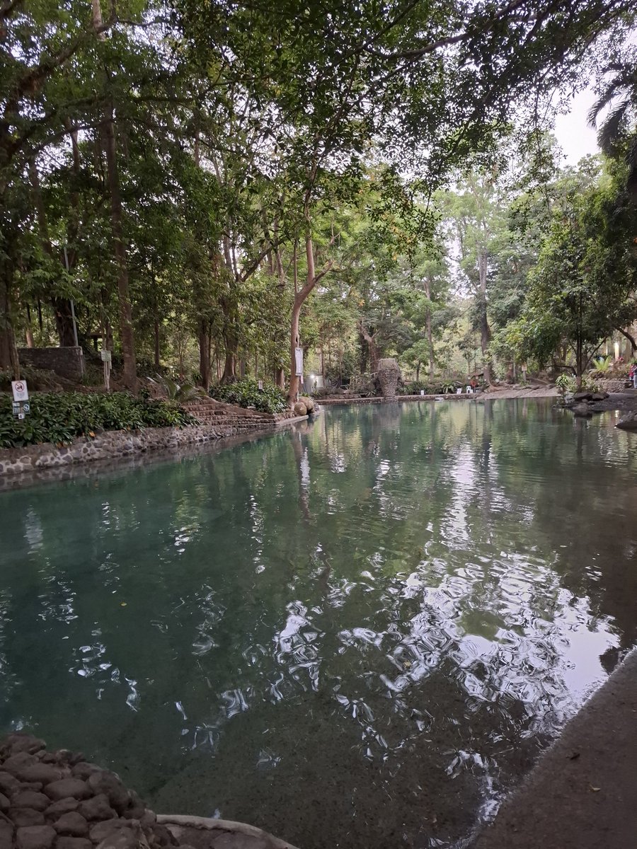 konOHanicOH's tweet image. Snaps and splashes. 📸🌊

#randomshots #poolparty