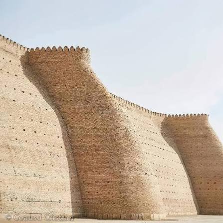 Chad memon tweet media