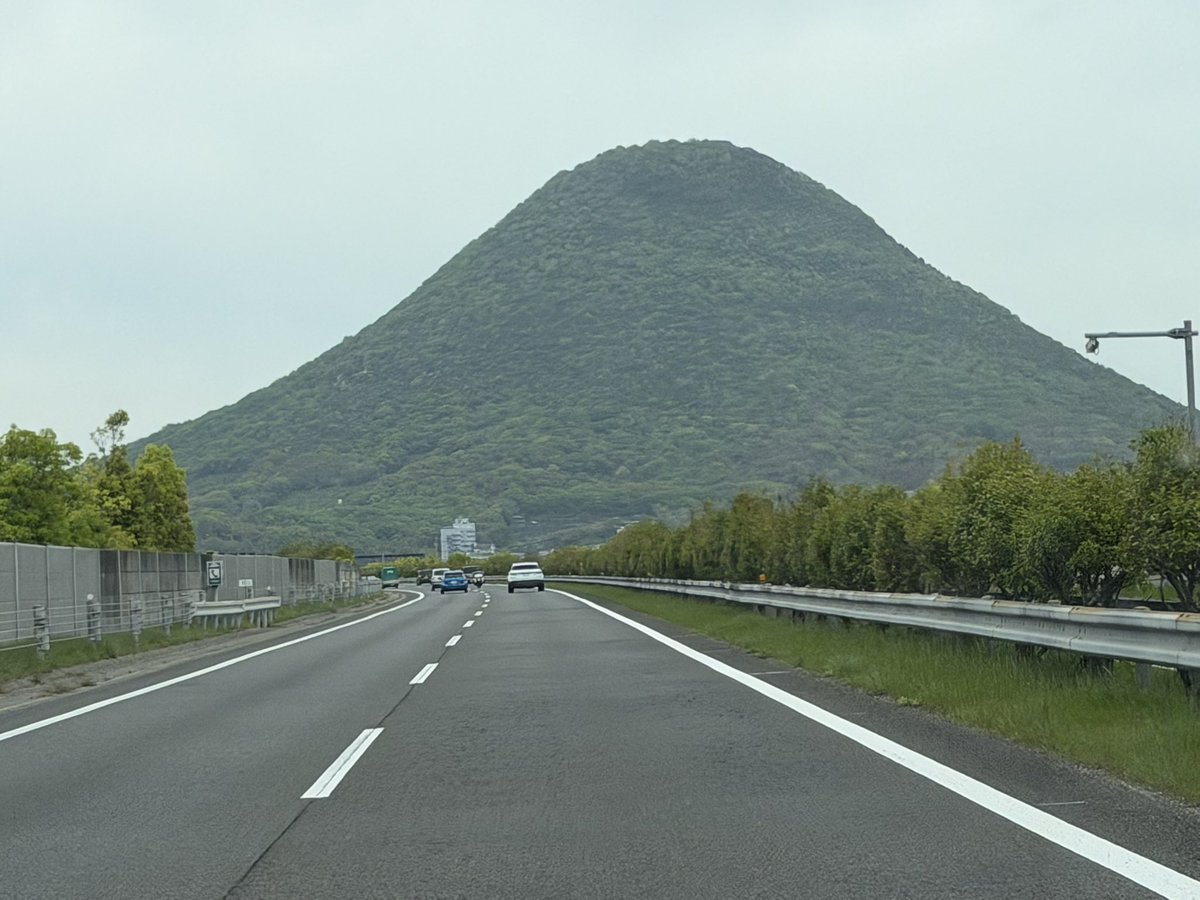 蒼いねこ.com tweet media