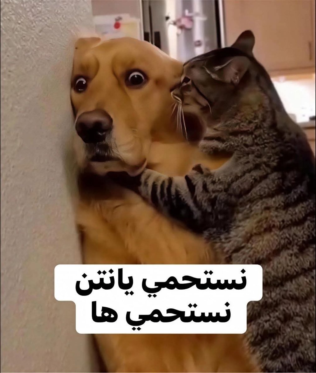 Mohamed Reda 🫰 tweet media