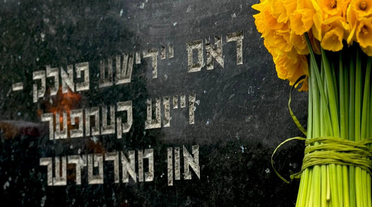 Adrian Zandberg tweet media