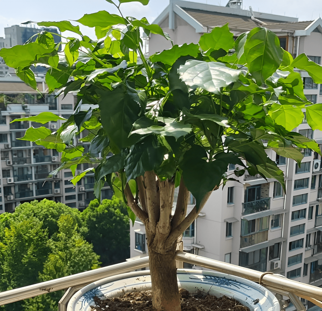 Daniel M. Rivera tweet media