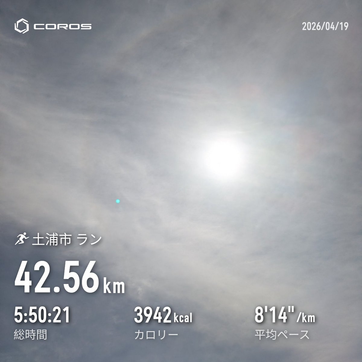 TakaShiba tweet media