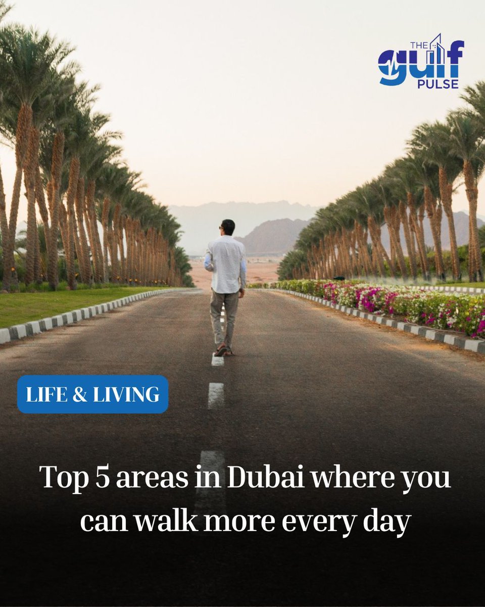 The Gulf Pulse tweet media