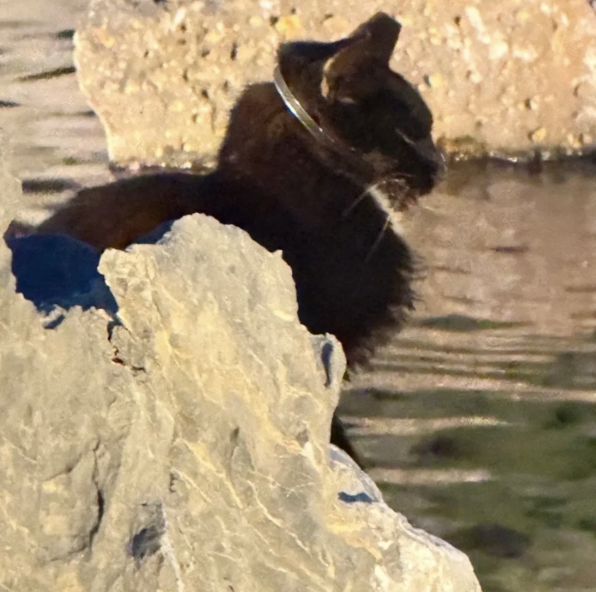 야금야굼 tweet media