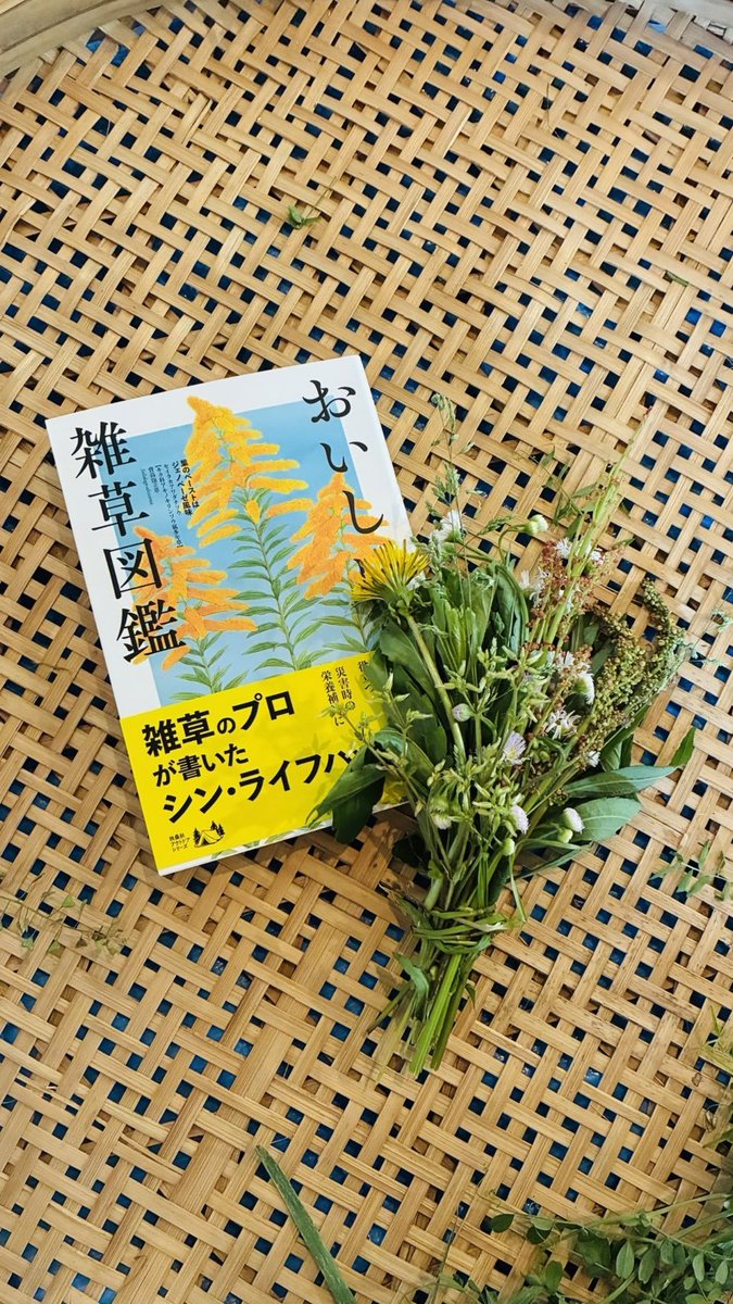 有村健弘（村長@obama village) tweet media