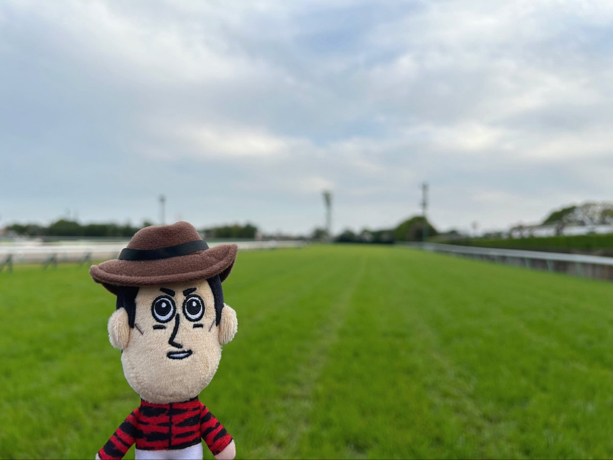 はちび tweet media