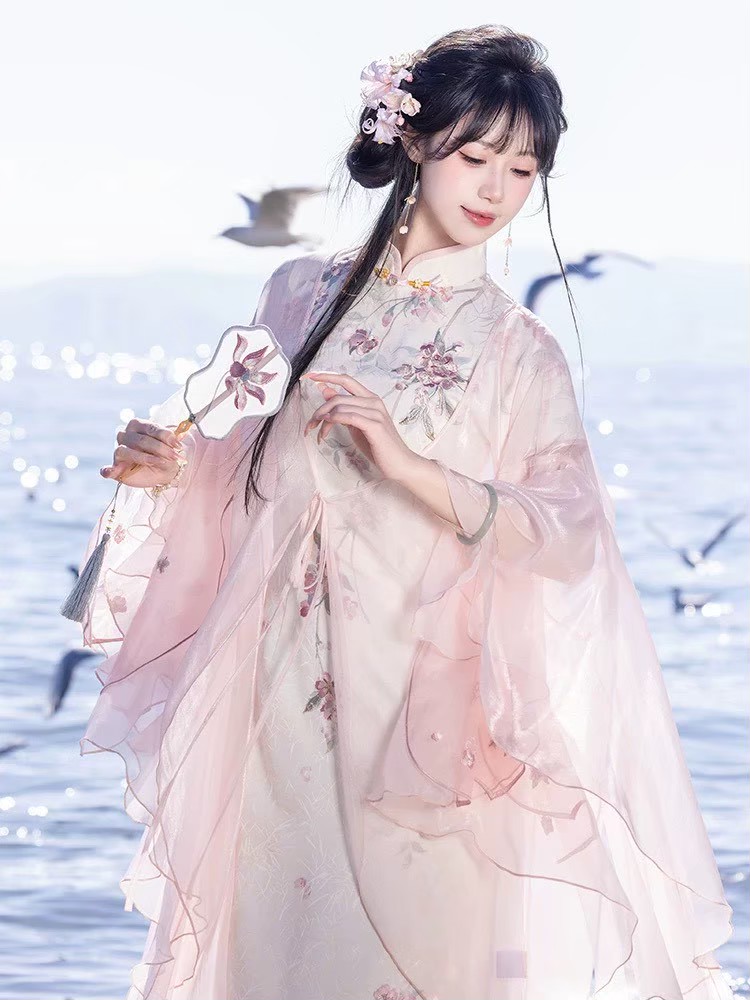 Historical Dream Hanfu tweet media