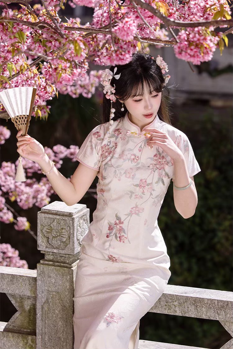 Historical Dream Hanfu tweet media