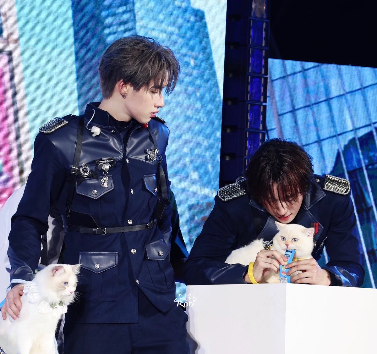 stxrlight. tweet media