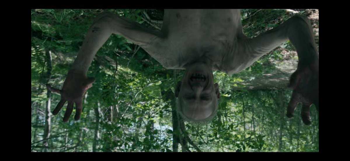 H.N.S★ tweet media