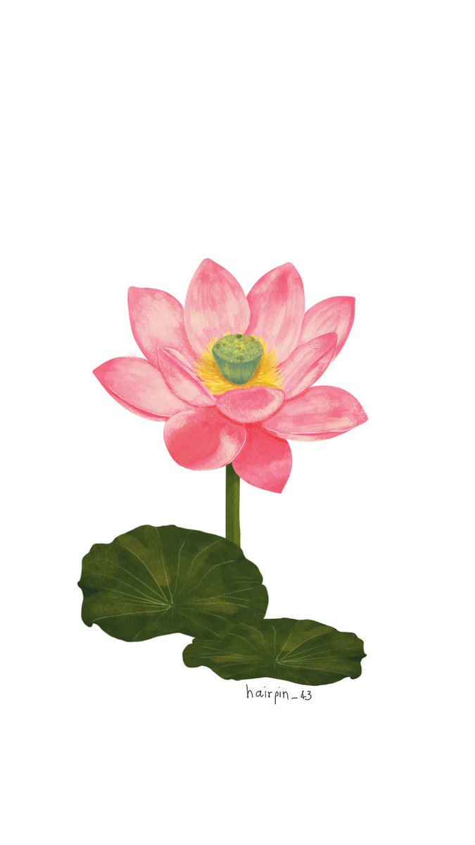 แม่รักน้องตี๋ tweet media