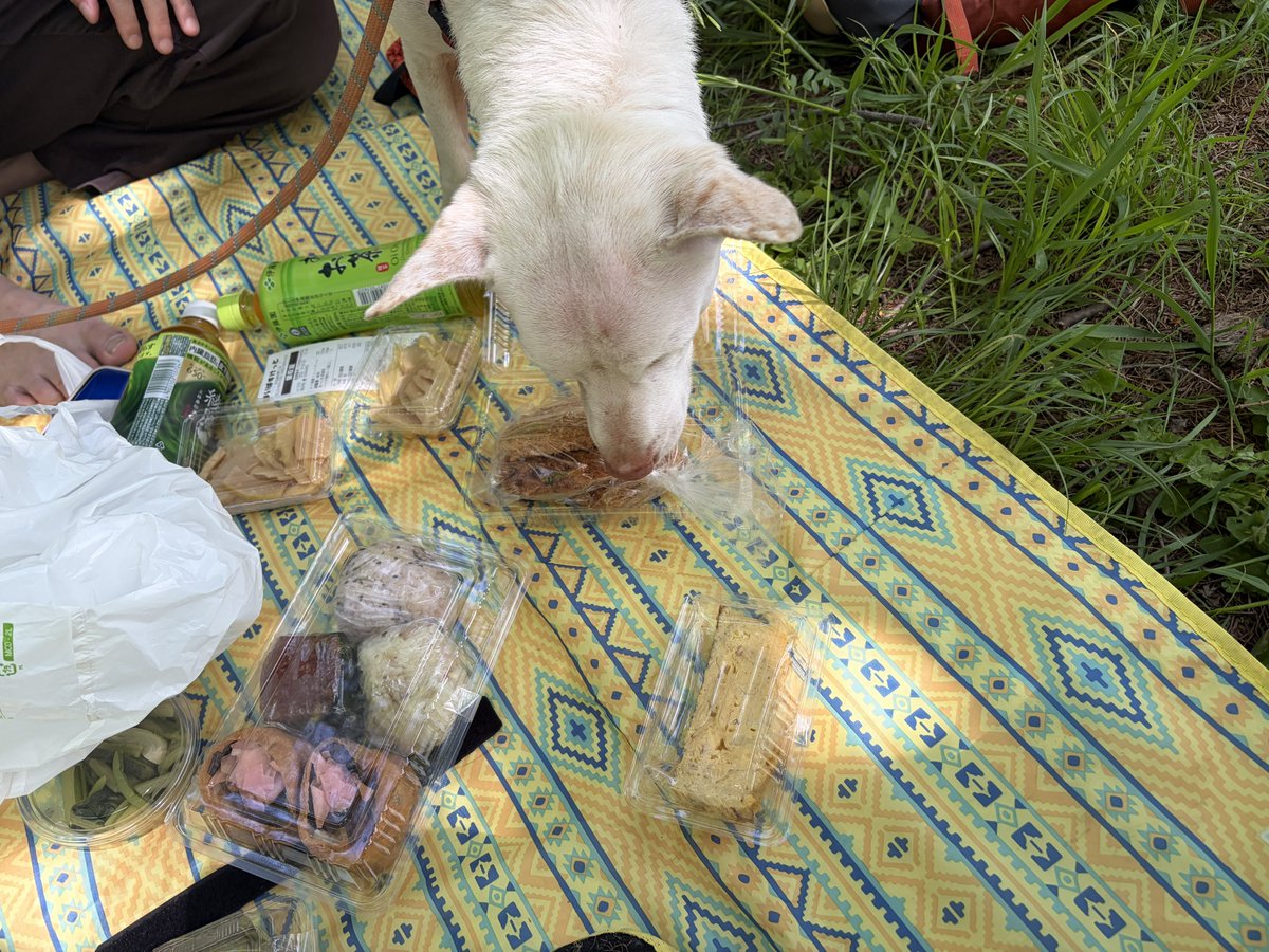 プケ&マイキード🇹🇭 tweet media