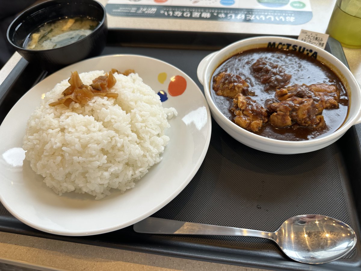 我慢出来ずにごろごろ煮込みチキンカレー