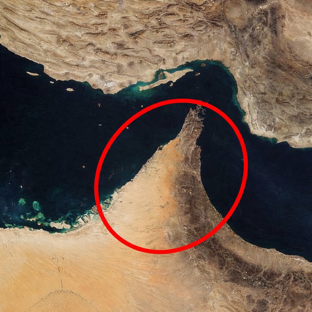 🇺🇦エレナちゃん tweet media