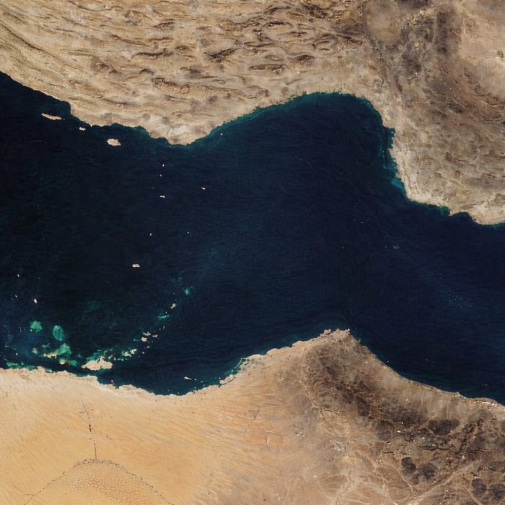 🇺🇦エレナちゃん tweet media