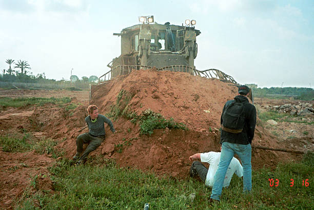 Adin - عدین - עדין tweet media