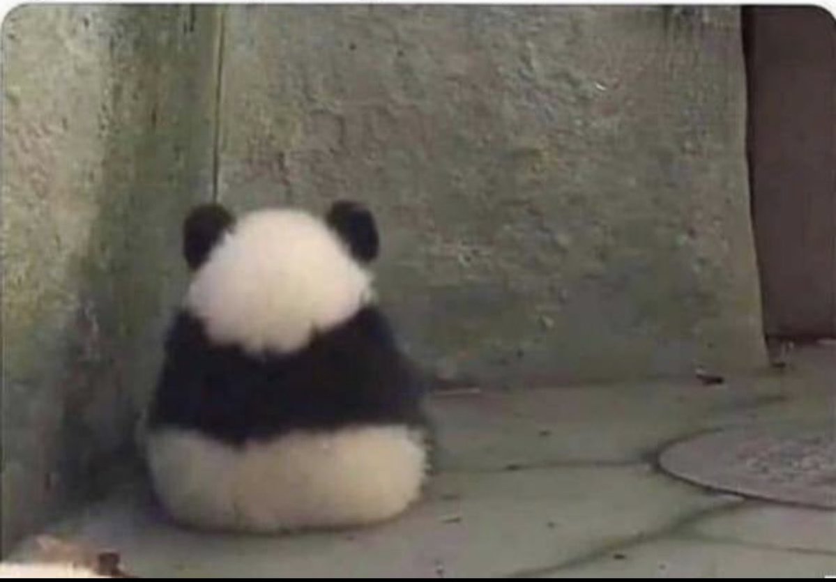 RoboSnop tweet media