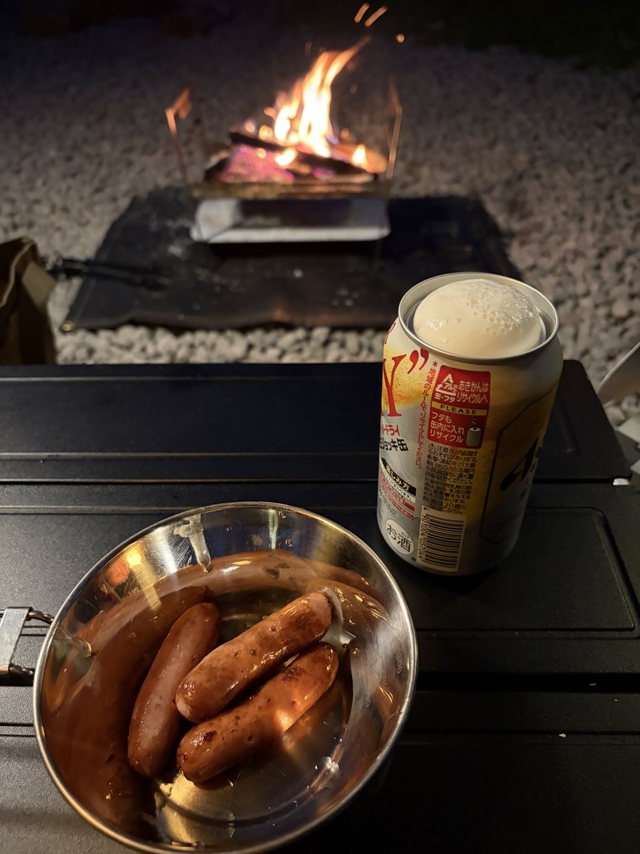 OZ★Go Camping with PAO tweet media