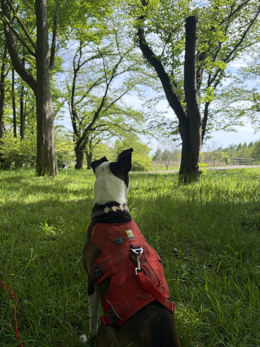 プケ&マイキード🇹🇭 tweet media