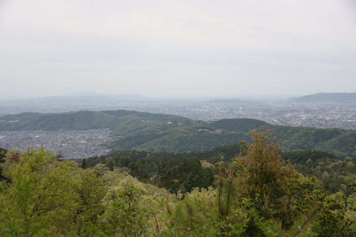 LSTA-Linfer-jp tweet media