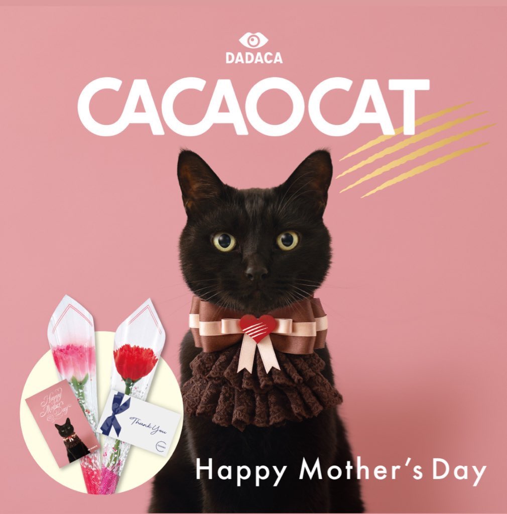 CACAOCAT🐈‍⬛こねこのこねこねクッキー🐾/made in HOKKAIDO/DADACA tweet media