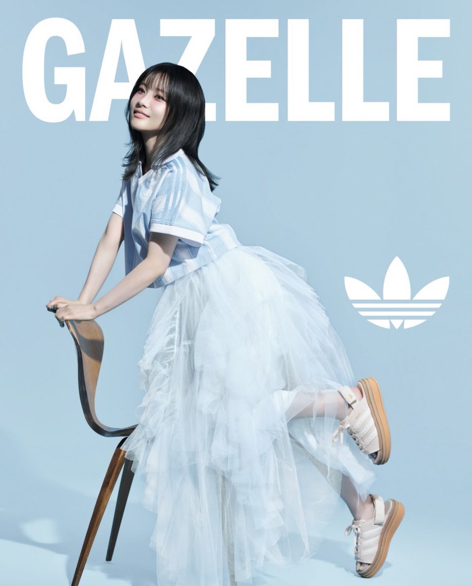 パピヨン tweet media