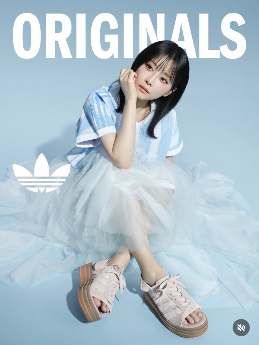 パピヨン tweet media