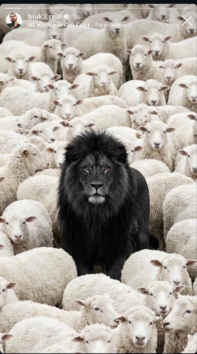 Hiphop Merkezi tweet media