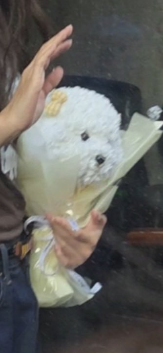 𝓚𝓪𝓸𝓻𝓾 tweet media