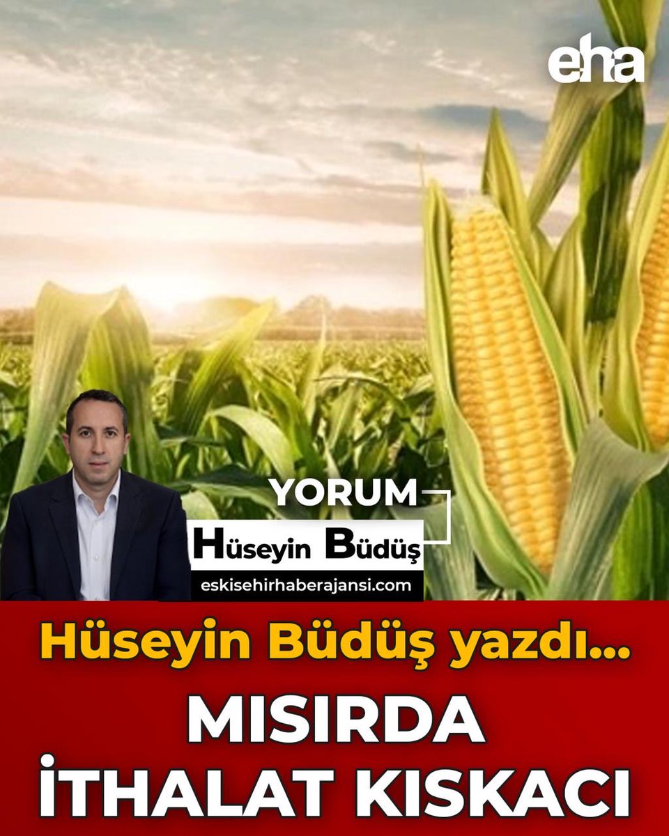 Mısırda İthalat Kıskacı eskisehirhaberajansi.com/misirda-ithala…