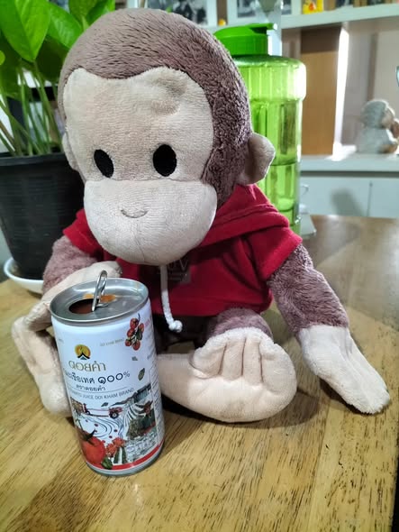 ChrisCsd1's tweet image. #Healthy Lotto &amp;amp; some healthy tomato juice. After buying ten on special, buy one, get one promotion, from a branch of a mini supermarket we visit frequently, we went back &amp;amp; bought 18 more cans, of  top quality Thai brand at same cost, working out at 23p UK money, for each can!