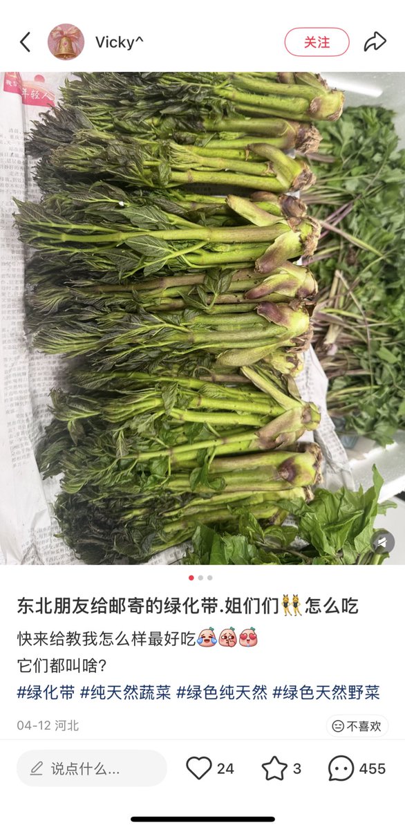复兴满洲铲除百越 tweet media