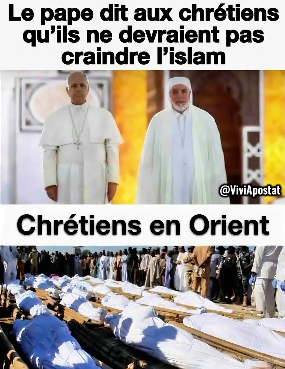 Vivi-Apostat tweet media