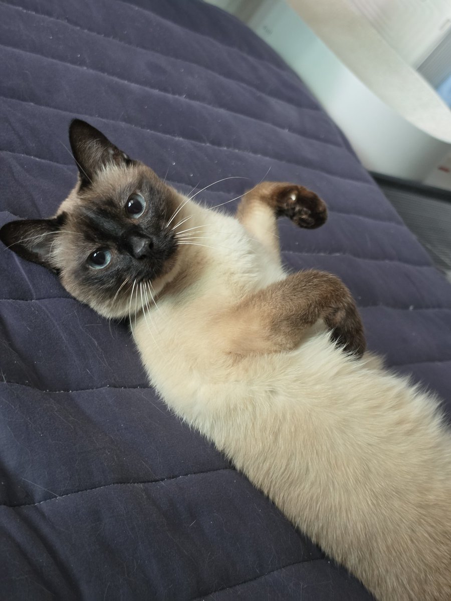 이불 털, 모래 범벅으로 만듦
앵알 : 문제가 될까요?