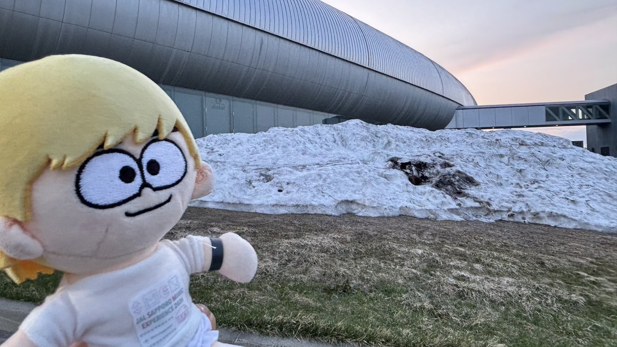 しのぬいとおでかけ tweet media