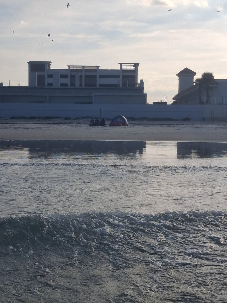 Black Snake moan no Samuel l Jackson tweet media