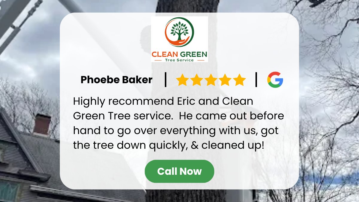 Cleangreentree's tweet photo. Social Proof Focus 

Another 5-star win for the Clean Green Tree crew!
From the free walkthrough to the final cleanup — we show up, we get it done, and we do it at a price that makes sense.

That's the Clean Green promise. Every. Single. Time.

#TreeRemoval #CleanGreenTree https://t.co/6ucXJSffH1