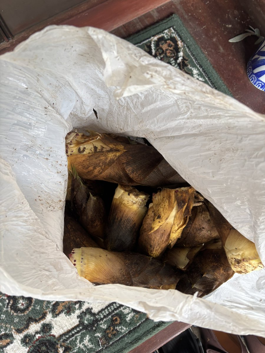 はるぶーん tweet media