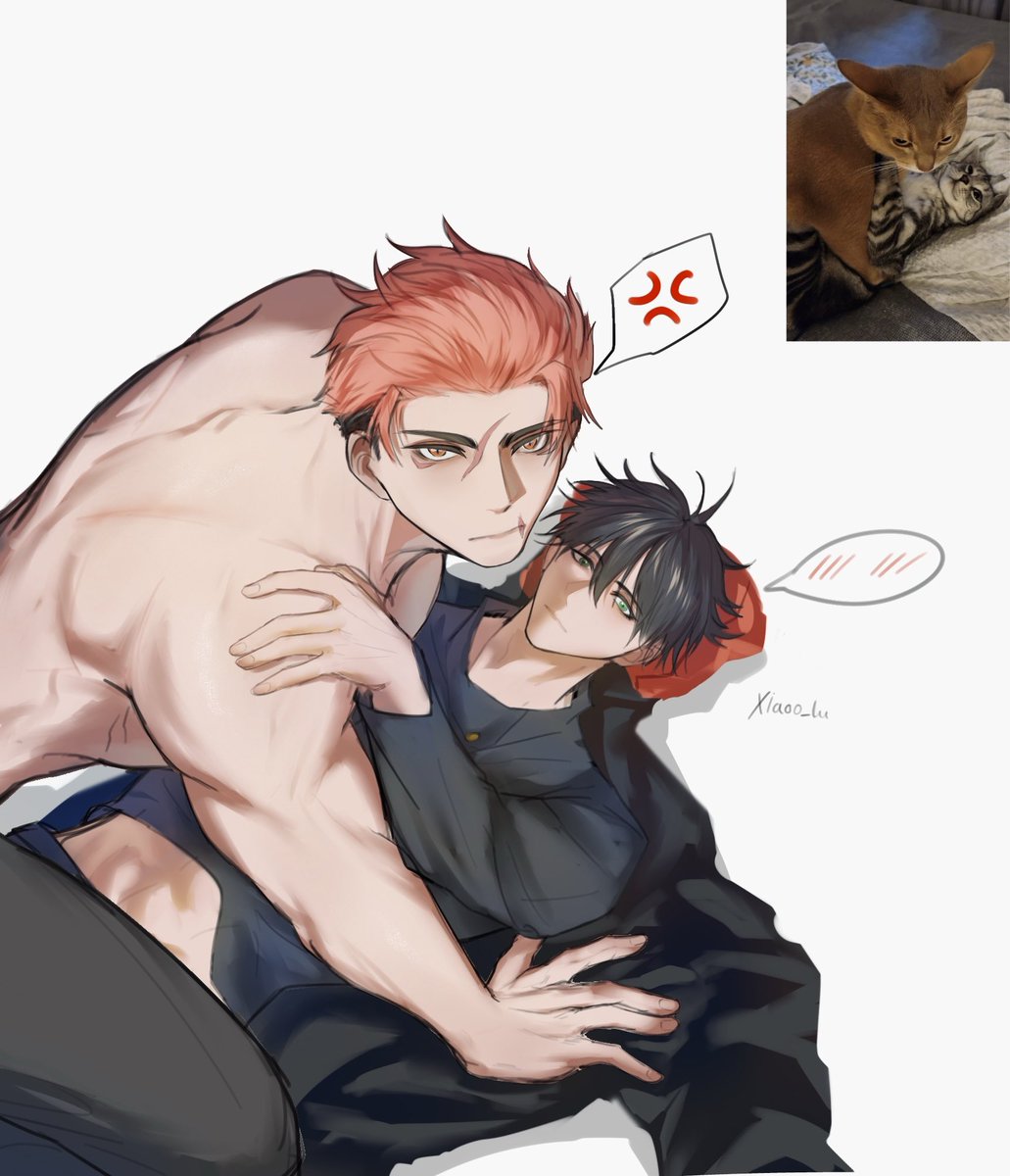 xiaoo_lu's tweet photo. Gay cat
#itafushi https://t.co/cj0QwR7Nq7