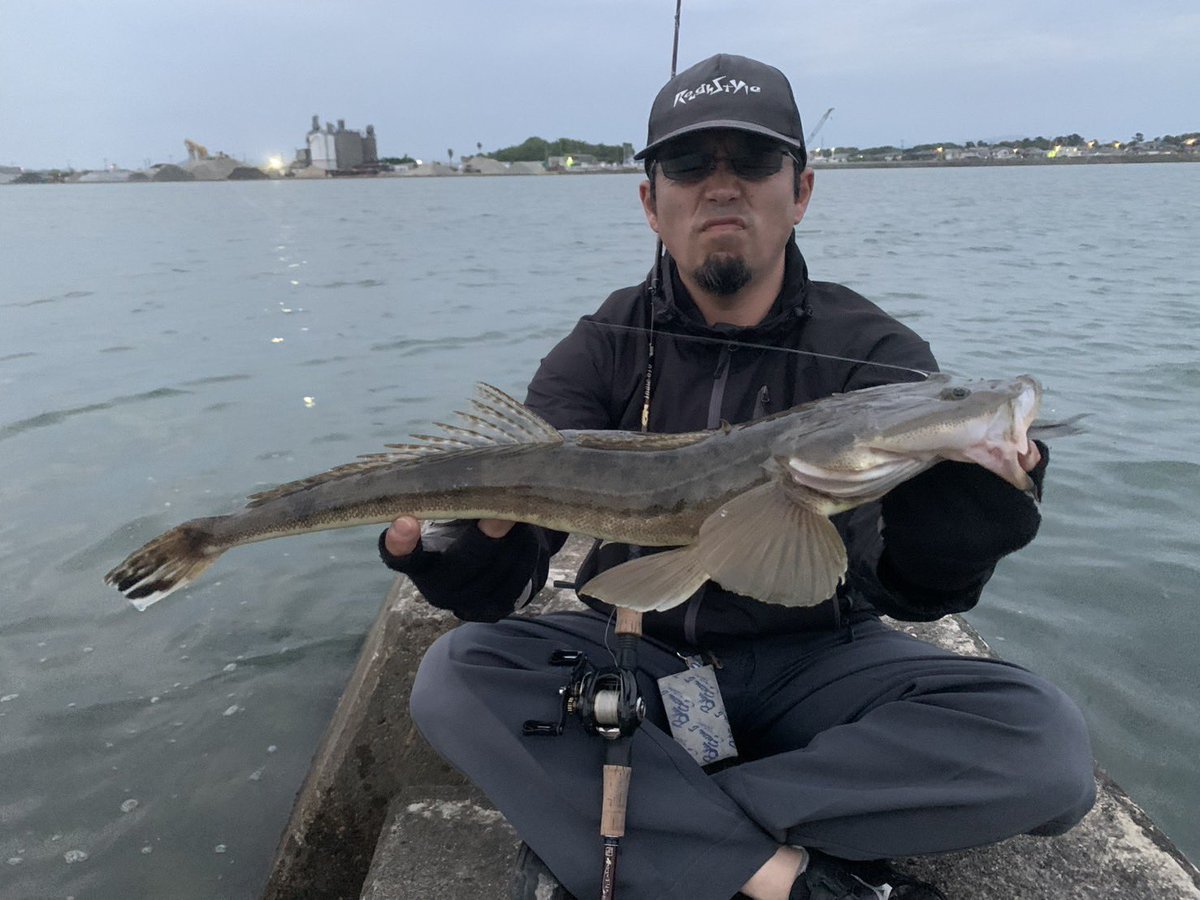 namatamanama's tweet image. 7連勤納めて年無し釣ったフォロワ君にもらったワームで釣りをするコチ率高いおじさん 🐟🐟🐟 
 
#黒鯛通信 
#blackporgy 
#flathead 
#tulalajp 
#dranckrazy 
#indie610