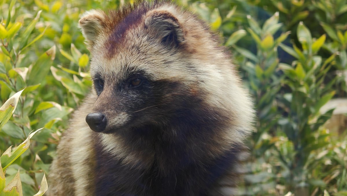 亜門槙史 tweet media