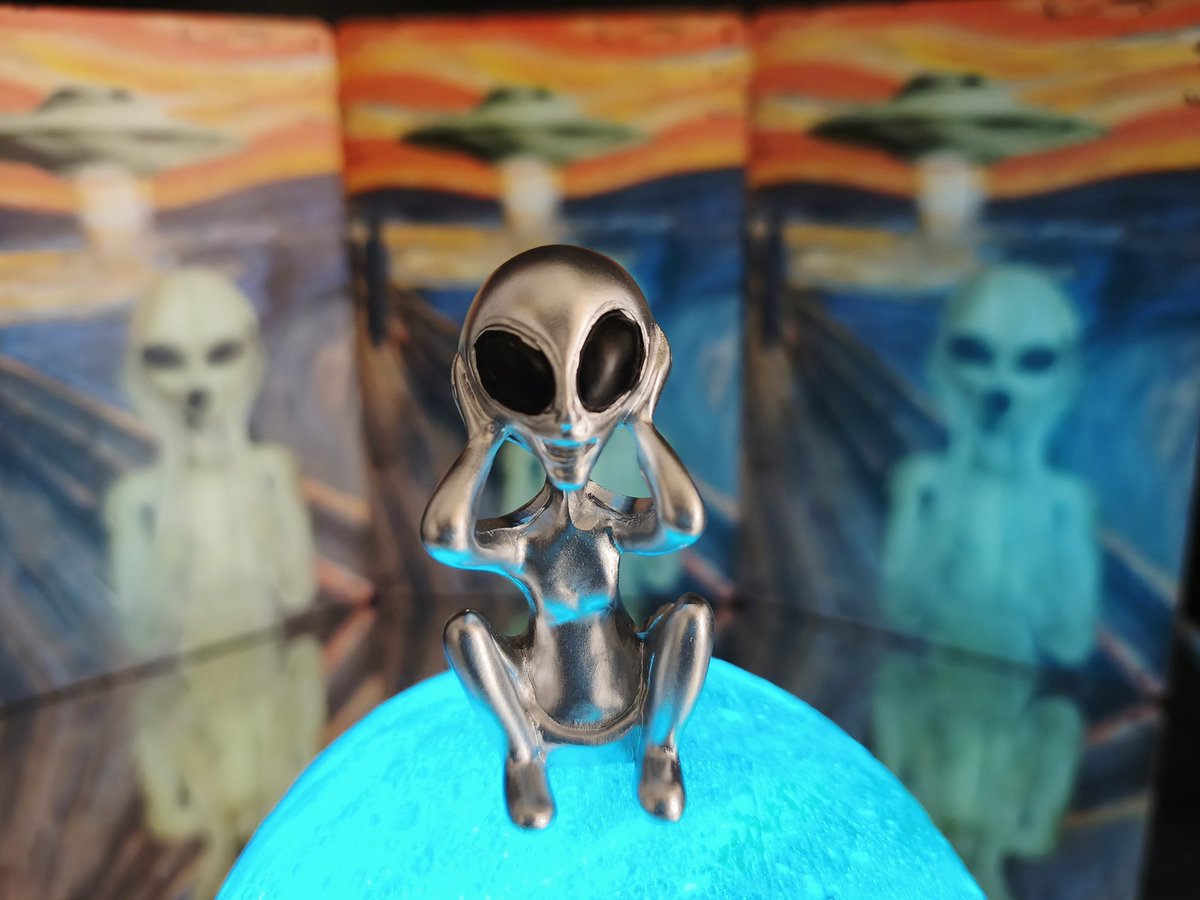 うさぎくんも呆れる、
飼い主の奇妙なオブジェ趣味😱👽️