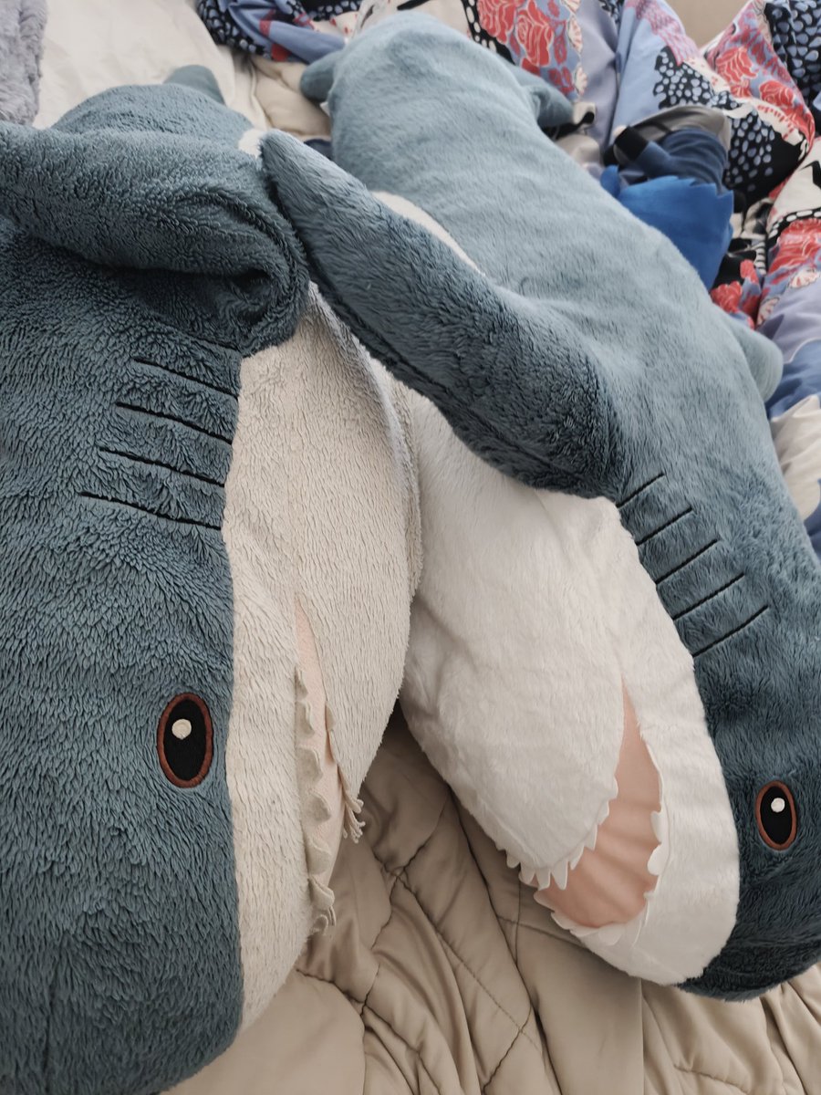 Ninde 𓆟 tweet media